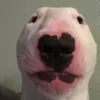Dara Johnston - @djohnston2 - TikTok