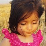 Shagha Darakhani - @darakhani - Instagram