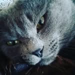дарья - @darakirkizova45992020 - Instagram