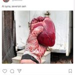 dık şın - @darakula.girls - Instagram