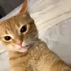 daralegge - @daralegge - TikTok