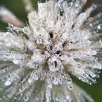 Atsushi Inoue - @daralin - Instagram