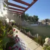 dar_ali - @dar_ali4 - TikTok