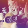 Дара - @dara.li - TikTok