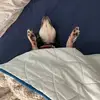 DaraLunny - @daralunny - TikTok