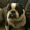 Dara Lynn - @daralynn78620 - TikTok