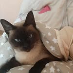 @dara.macka - Instagram