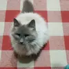 daramack2 - @daramack2 - TikTok