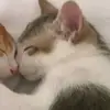 Mck - @darakan.mckenzie0 - TikTok