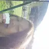 Dara McMahon - @sasakabooo - TikTok