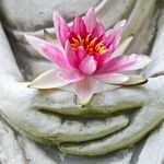 Dara Palmer - @thedvinedyogi - Instagram