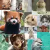 Dara Vazquez - @dara.vazquez0 - TikTok