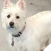 Dara Watson Jacobs - Facebook