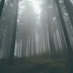 DaraWhite_424 - @darawhite_424 - Instagram