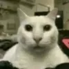 Dara william - @dara.william - TikTok