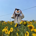 Dara Yang - @dara.6___6 - Instagram