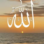 Darab Ali - @darab_ali_ - Instagram