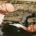 Darren Johnson - Facebook