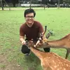 Darren Tanaka - @dartanaka - TikTok