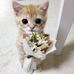 Dara Roth - Facebook