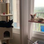 @luna_darby_aventures - Instagram