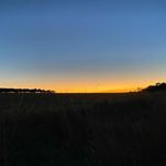 DARBY - @darbybellpa4.5 - Instagram