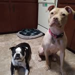 Darby and Freya - @darbyandfreya - Instagram