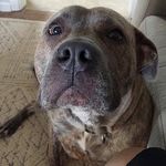 Sullivan Jackson "Sully" - @sullivan_darby_jackson - Instagram