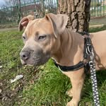 Darcey-lee 💝 - @darceyleenewisr - Instagram