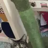 Bettyyyyyy - @darceymorris - TikTok