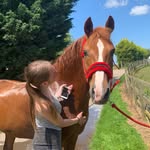 darcey morris - @biscuithewelsh - Instagram