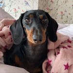 Darcey Williams - @darcey__williams - Instagram