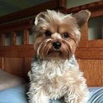Darcey Williams Walker - @walkerdarcey - Instagram