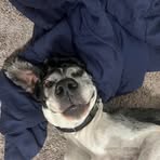 Darci Samuelson - Facebook