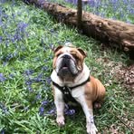 Darcey Watson - Facebook