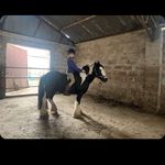 Darci watson - @darciwatson41 - Instagram