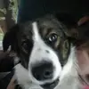Darcie Adams - @california420690 - TikTok