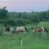Darcie Alexander - @darcie.alexander - TikTok