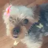 Darcie Allen02 - @darcie.allen02 - TikTok