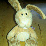 Darcie Anderson - @darcie3517 - Instagram