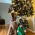 Darcie Abell Armstrong - @one_armstrong_mom - Instagram