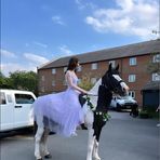 Darcy Oconnor Austin - Facebook