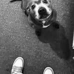 Darcie Baker - Facebook