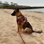 Darcie Rose Barker - @a_dose_of_darcie - Instagram