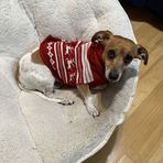 Darcie Bishop - Facebook
