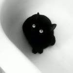 D'Arcy Bishop - @kittypurr13 - Instagram