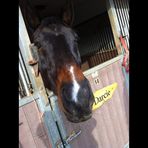 Darcie Booth - Facebook