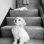 Darcie and Bruce - @bruceanddarcie - Instagram