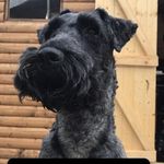 Darcey Burns - @darceyburns314 - Instagram