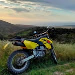 Darcy Cameron - @darcy_cam3on - Instagram